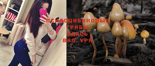 PSILOCYBIN Волоколамск