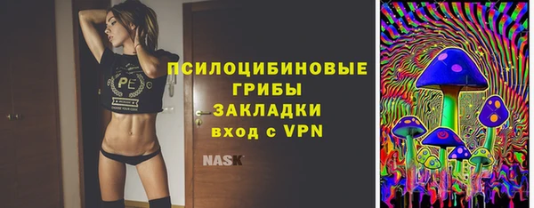 ALPHA PVP Верея