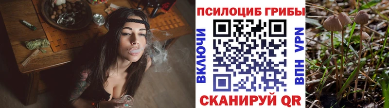 Галлюциногенные грибы Magic Shrooms Закаменск